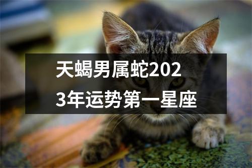 天蝎男属蛇2023年运势第一星座