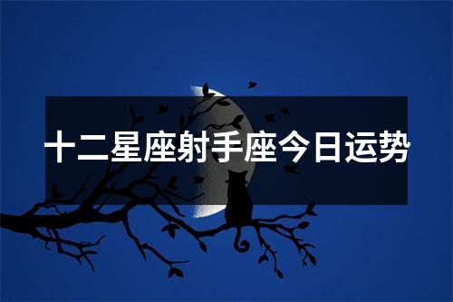 十二星座射手座今日运势