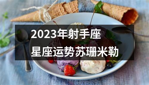 2023年射手座星座运势苏珊米勒