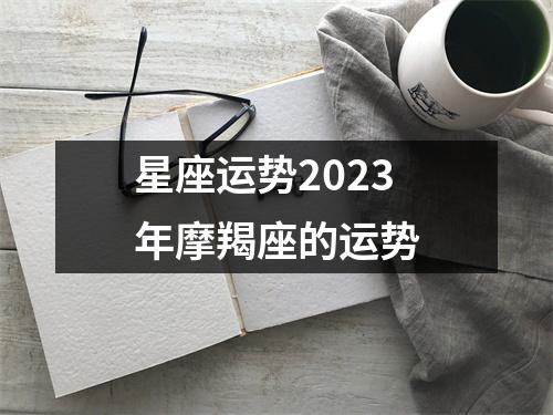 星座运势2023年摩羯座的运势