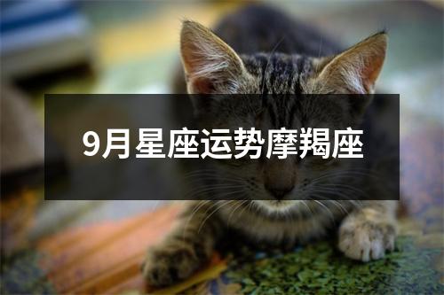 9月星座运势摩羯座