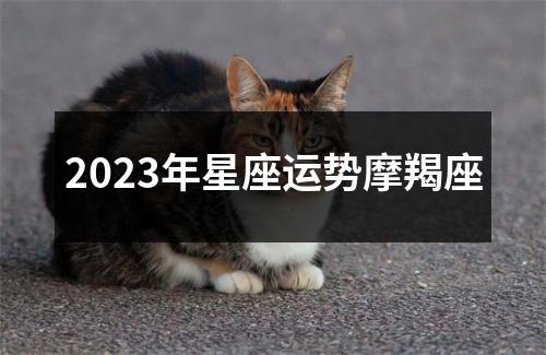 2023年星座运势摩羯座