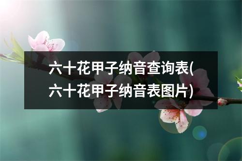 六十花甲子纳音查询表(六十花甲子纳音表图片)