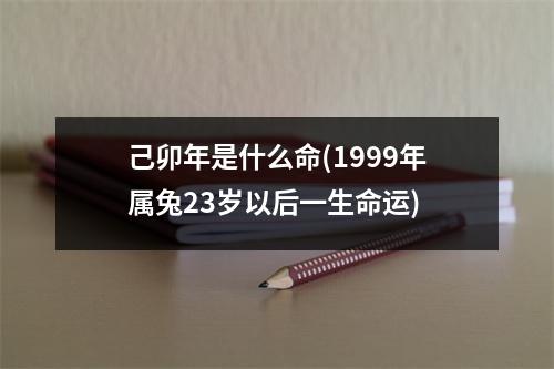 己卯年是什么命(1999年属兔23岁以后一生命运)