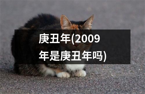 庚丑年(2009年是庚丑年吗)