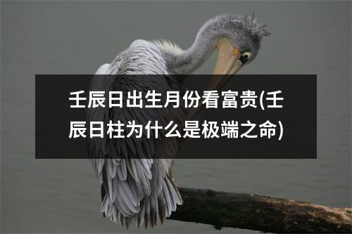 壬辰日出生月份看富贵(壬辰日柱为什么是极端之命)