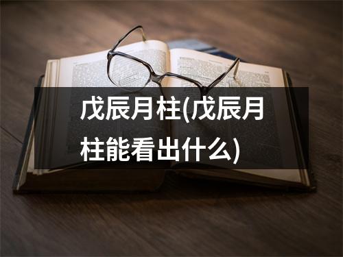 戊辰月柱(戊辰月柱能看出什么)