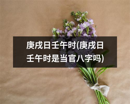 庚戌日壬午时(庚戌日壬午时是当官八字吗)