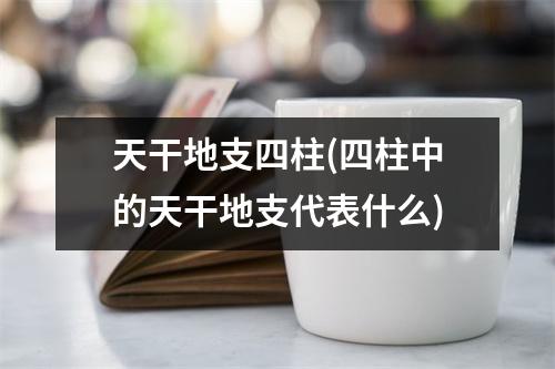 天干地支四柱(四柱中的天干地支代表什么)