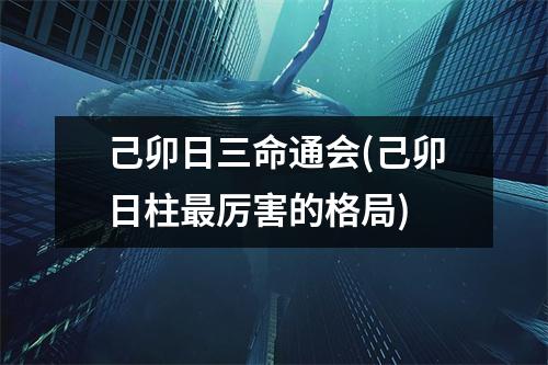 己卯日三命通会(己卯日柱厉害的格局)