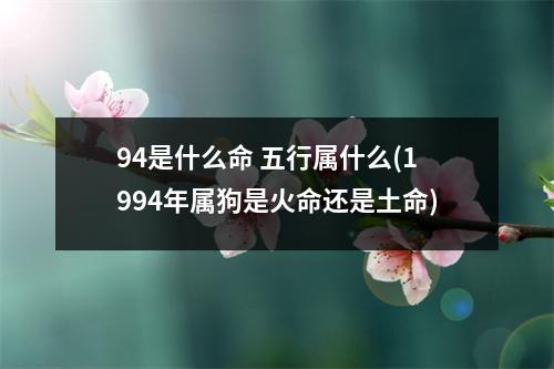 94是什么命 五行属什么(1994年属狗是火命还是土命)