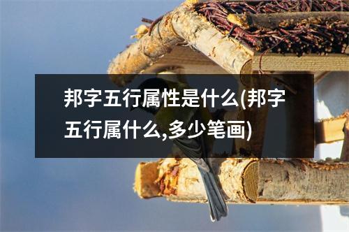 邦字五行属性是什么(邦字五行属什么,多少笔画)