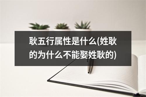 耿五行属性是什么(姓耿的为什么不能娶姓耿的)