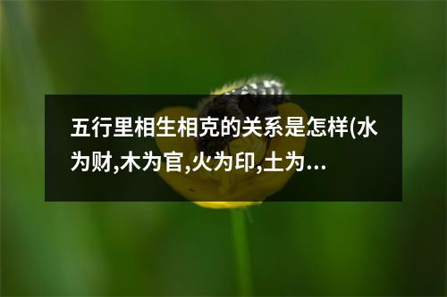 五行里相生相克的关系是怎样(水为财,木为官,火为印,土为)