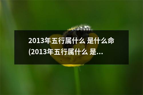 2013年五行属什么 是什么命(2013年五行属什么 是什么命的)