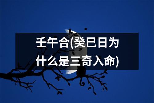 壬午合(癸巳日为什么是三奇入命)