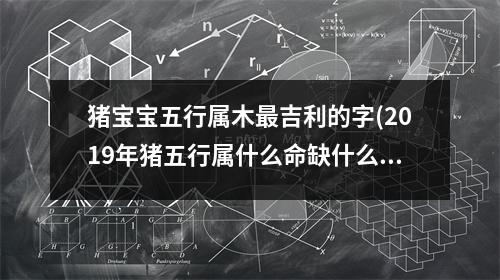 猪宝宝五行属木吉利的字(2019年猪五行属什么命缺什么)