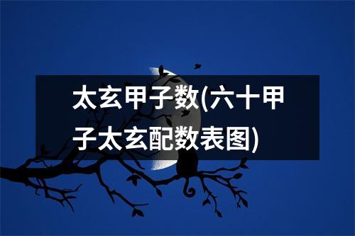 太玄甲子数(六十甲子太玄配数表图)