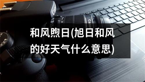 和风煦日(旭日和风的好天气什么意思)