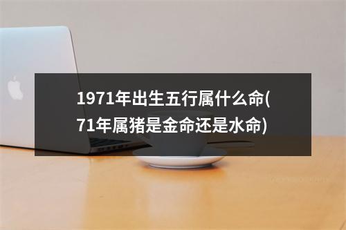 1971年出生五行属什么命(71年属猪是金命还是水命)