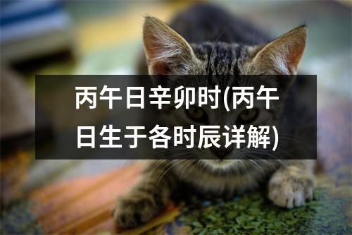 丙午日辛卯时(丙午日生于各时辰详解)