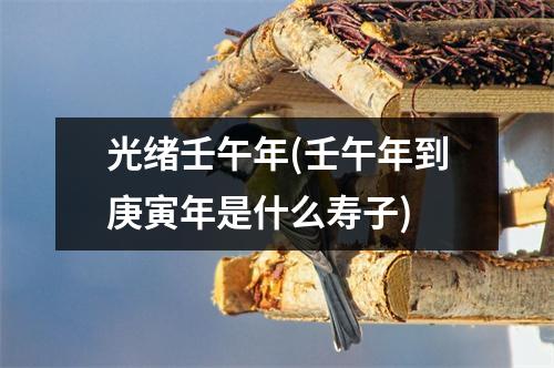 光绪壬午年(壬午年到庚寅年是什么寿子)