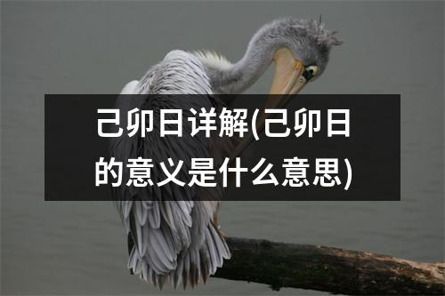 己卯日详解(己卯日的意义是什么意思)