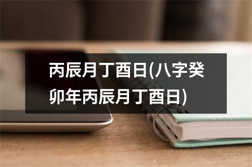 丙辰月丁酉日(八字癸卯年丙辰月丁酉日)