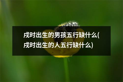 戌时出生的男孩五行缺什么(戌时出生的人五行缺什么)