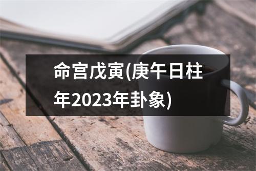 命宫戊寅(庚午日柱年2023年卦象)