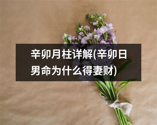 辛卯月柱详解(辛卯日男命为什么得妻财)