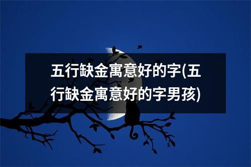 五行缺金寓意好的字(五行缺金寓意好的字男孩)