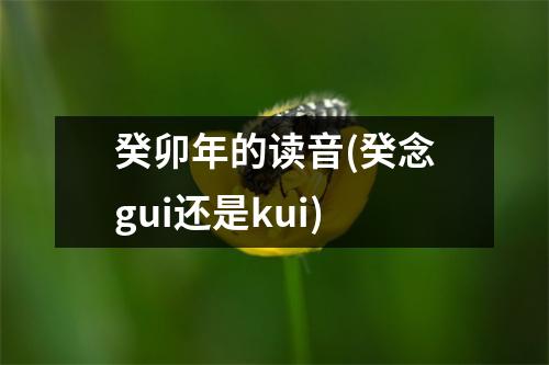 癸卯年的读音(癸念gui还是kui)