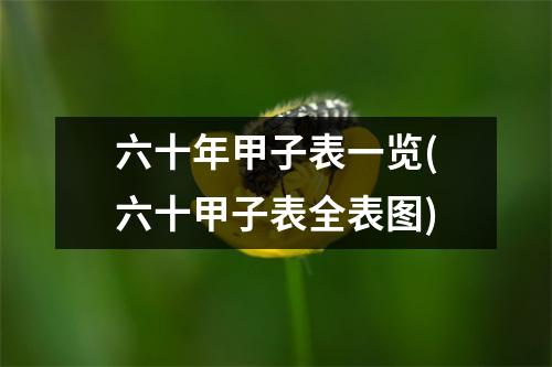 六十年甲子表一览(六十甲子表全表图)