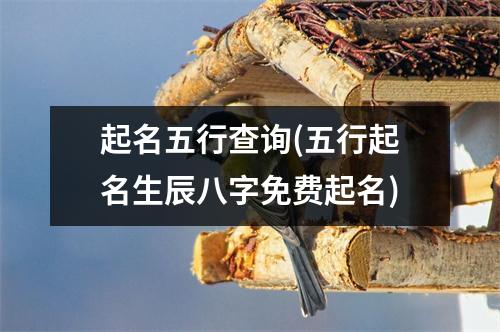 起名五行查询(五行起名生辰八字免费起名)