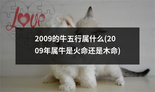 2009的牛五行属什么(2009年属牛是火命还是木命)