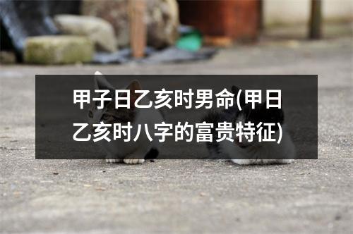 甲子日乙亥时男命(甲日乙亥时八字的富贵特征)