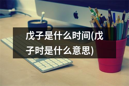 戊子是什么时间(戊子时是什么意思)