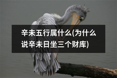 辛未五行属什么(为什么说辛未日坐三个财库)