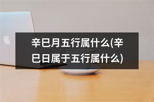 辛巳月五行属什么(辛巳日属于五行属什么)