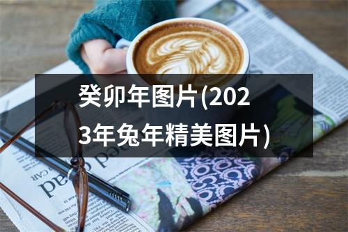 癸卯年图片(2023年兔年精美图片)