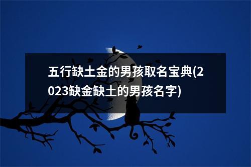 五行缺土金的男孩取名宝典(2023缺金缺土的男孩名字)