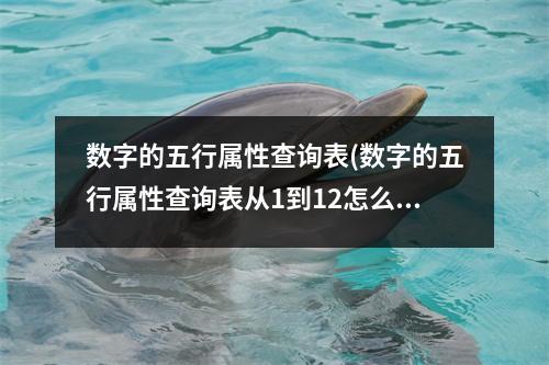 数字的五行属性查询表(数字的五行属性查询表从1到12怎么查)