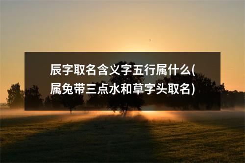 辰字取名含义字五行属什么(属兔带三点水和草字头取名)