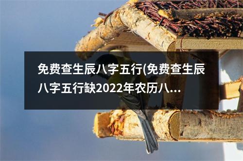 免费查生辰八字五行(免费查生辰八字五行缺2022年农历八月十八)