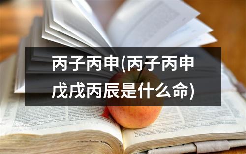 丙子丙申(丙子丙申戊戌丙辰是什么命)