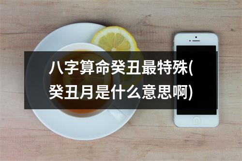 八字算命癸丑特殊(癸丑月是什么意思啊)