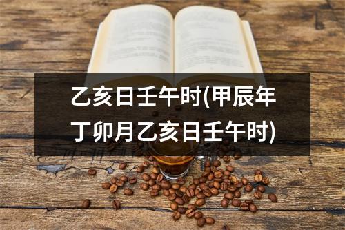 乙亥日壬午时(甲辰年丁卯月乙亥日壬午时)