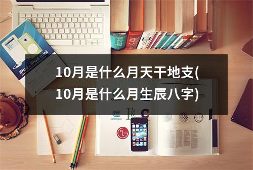 10月是什么月天干地支(10月是什么月生辰八字)