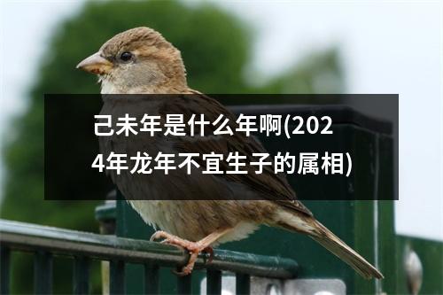 己未年是什么年啊(2024年龙年不宜生子的属相)